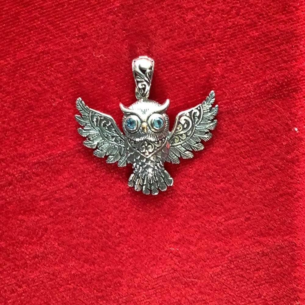 Samuel B.  Blue Topaz eyes Owl pendant